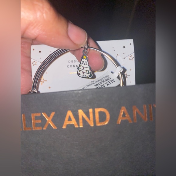 New Alex & Ani - Picture 1 of 4